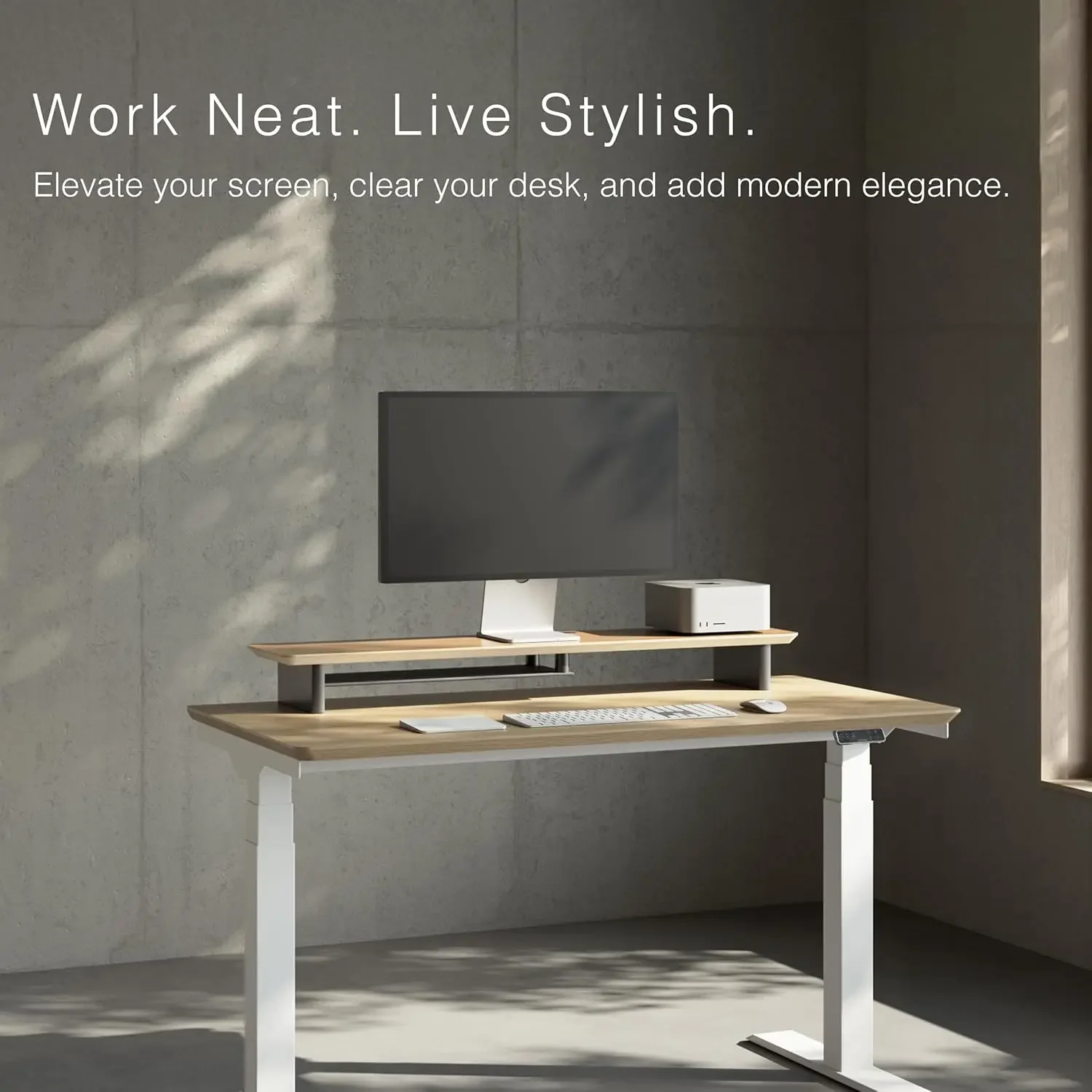 Scrivania Ergonomica a Due Liv - Desk Setup Ergonomics recensione e prezzo